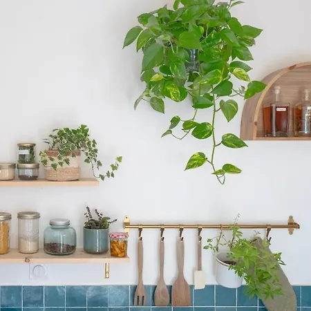 Jolie Maison Face A L'ocean *