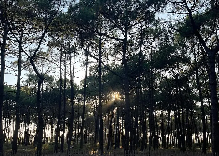Jolie Maison Face à L'océan Сasa de vacaciones *